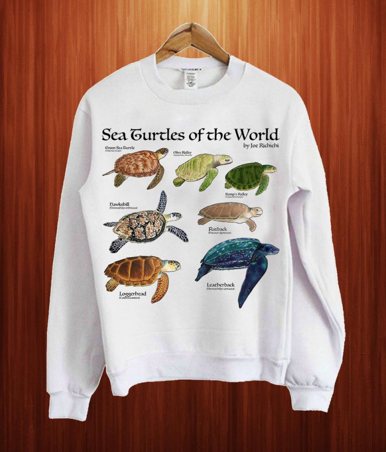 turtles sweatshirt