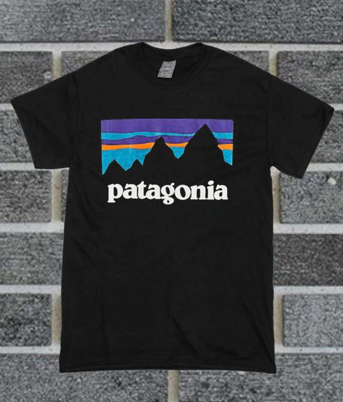 grey patagonia tshirt